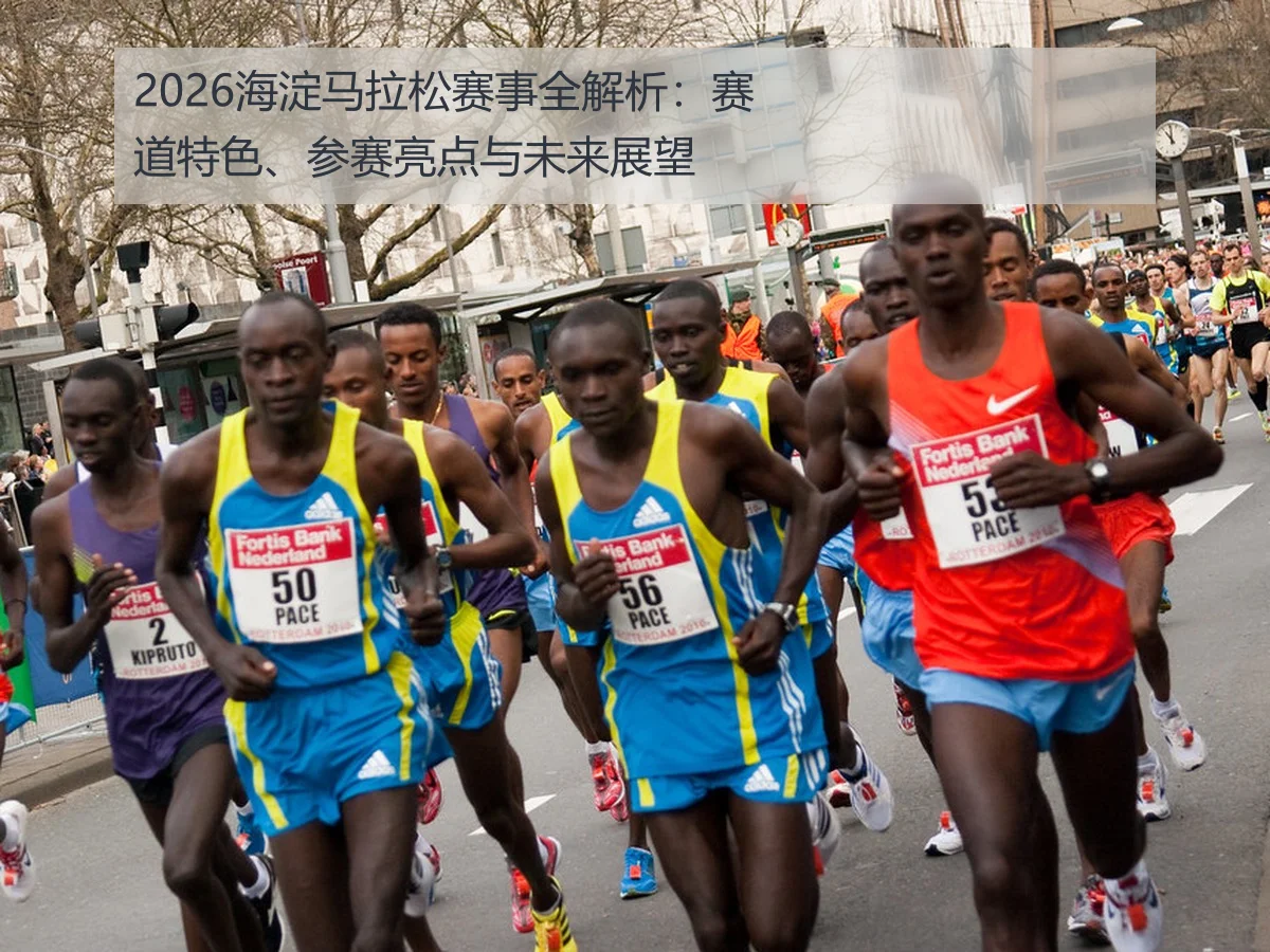 2026海淀马拉松赛事全解析：赛道特色、参赛亮点与未来展望